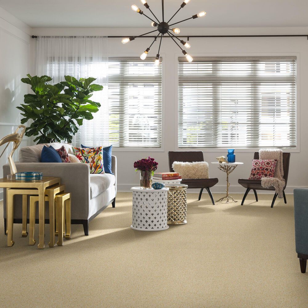 Anderson Tuftex Showbiz Carpet in Muse, , large