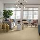 Anderson Tuftex Showbiz Carpet in Muse, , large
