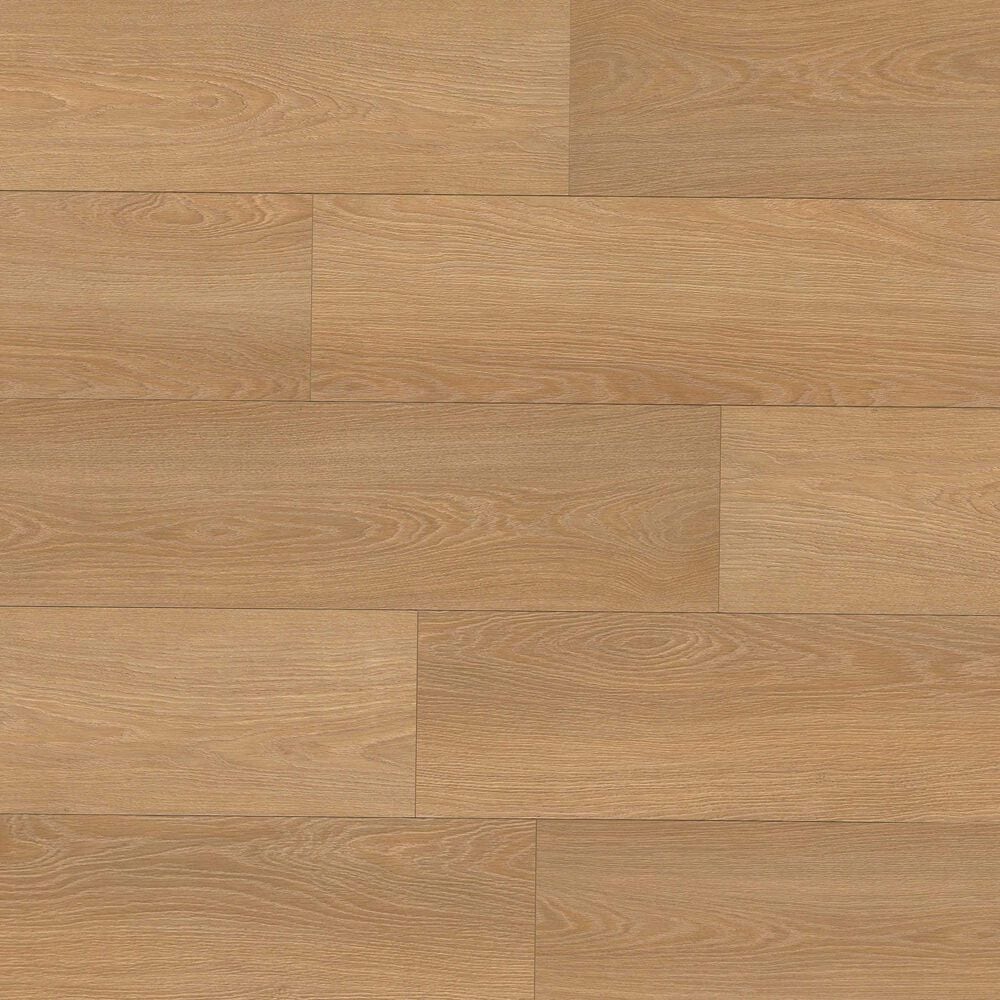 MS International Shorecliffs Wallingford Blond 9" x 87" Luxury Vinyl Plank, , large