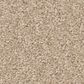 Shaw Las Cruces Carpet in All Natural, , large
