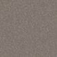 Shaw Yes You Can I Carpet in Chic Greige, , large