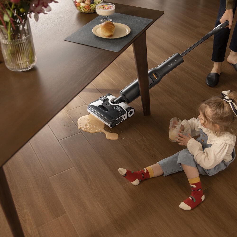 Roborock F25 Ace Wet and Dry Vacuum Cleaner in Black, , large