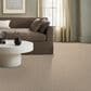 Anderson Tuftex Ambitious Carpet in Lamp Glow, , large