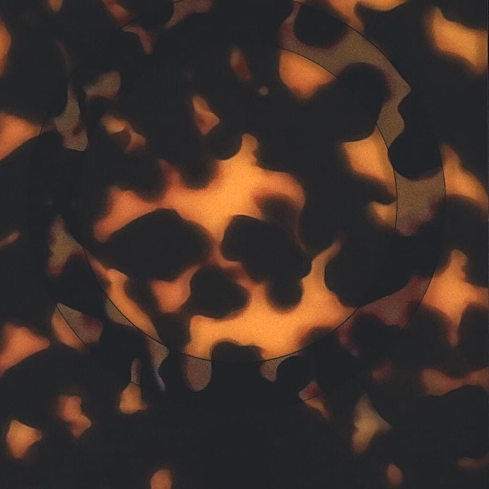 Kate Spade Protective MagSafe Case for Apple iPhone 17 Pro in Tortoise, , large