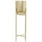 Maple and Jade 41" Dome Planter with Removable Stand in Satin Gold, , large