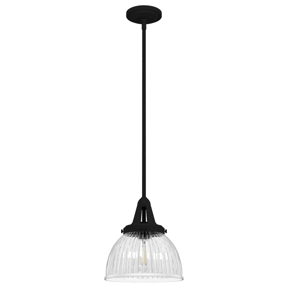 Hunter Cypress Grove 10" 1-Light Pendant in Natural Iron, , large