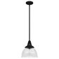 Hunter Cypress Grove 10" 1-Light Pendant in Natural Iron, , large