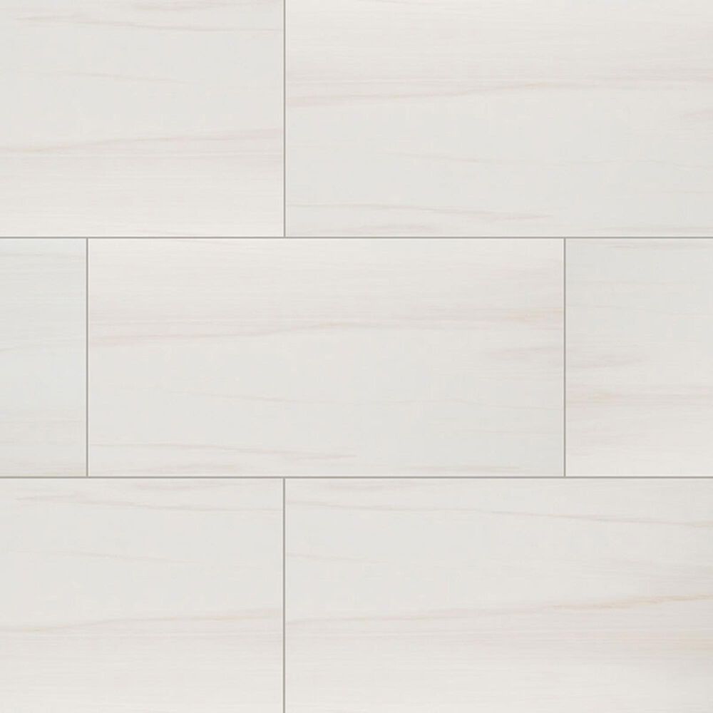 MS International Eden Dolomite 12" x 24" Polished Porcelain Tile, , large