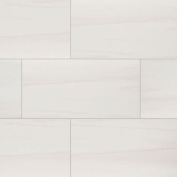 MS International Eden Dolomite 12" x 24" Polished Porcelain Tile, , large