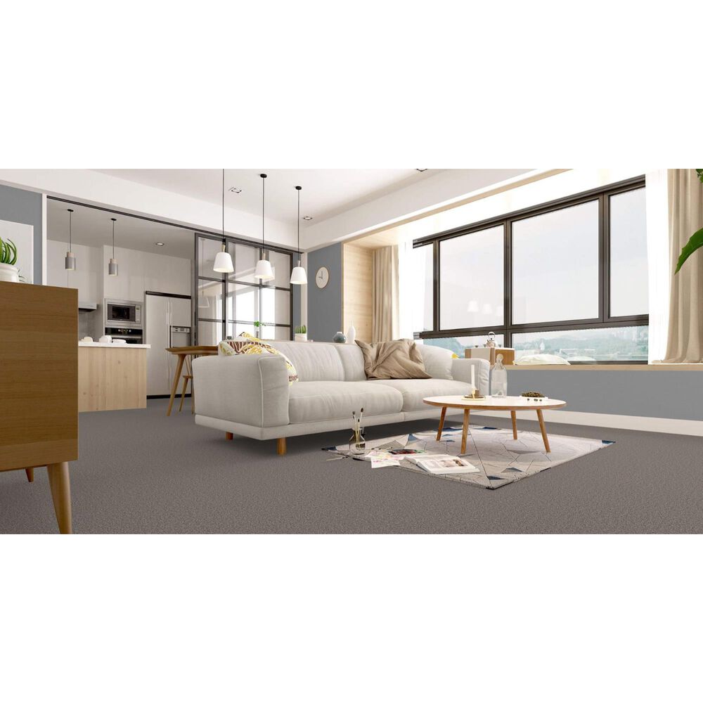 Revolution Mills Rainier Carpet in Lookout, , large