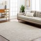 Surya Masterpiece MPC-2321 Medium Gray and Light Gray 5" x 7"5" Area Rug, , large