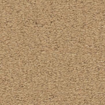 Anderson Tuftex Finery Carpet in Lamp Light, , large
