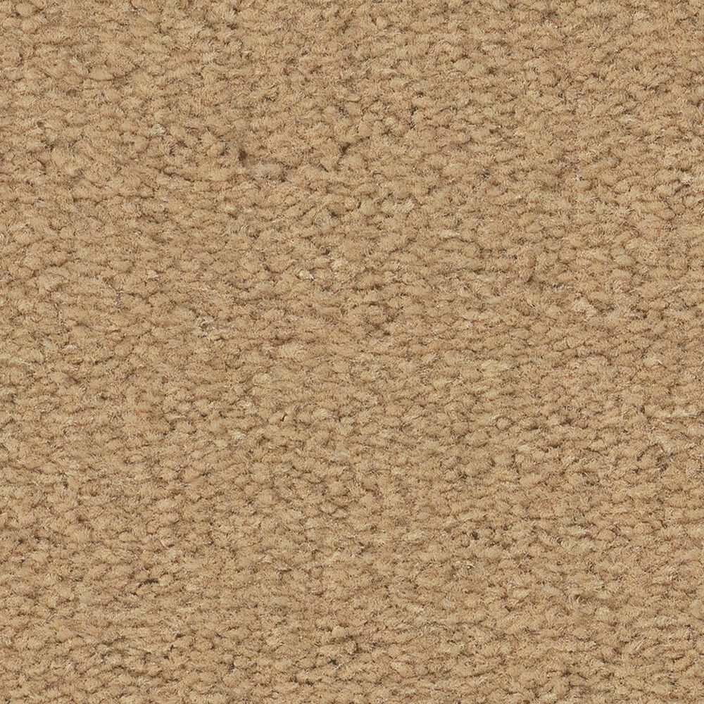 Anderson Tuftex Finery Carpet in Lamp Light, , large