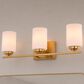 Vaxcel Park Ridge 3-Light Bathroom Vanity in Champagne Gold, , large