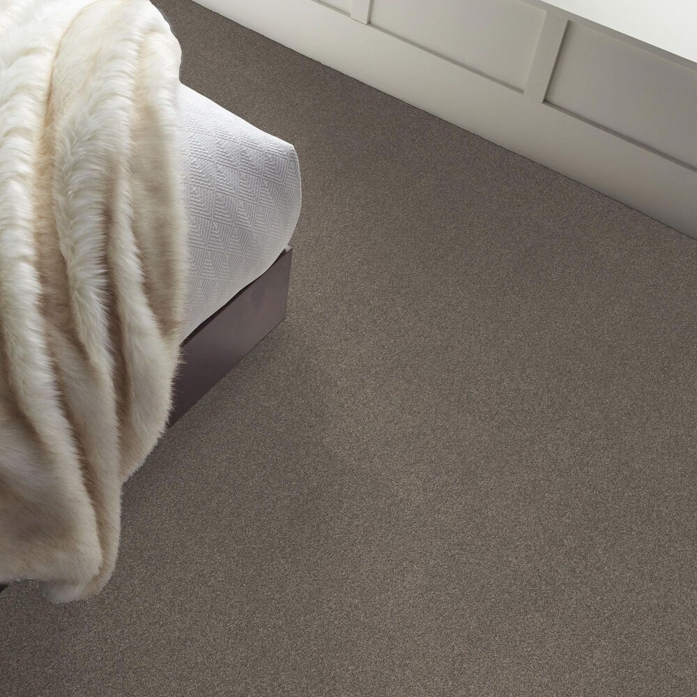 Shaw New Memories T Carpet in Hideaway, , large