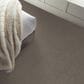 Shaw New Memories T Carpet in Hideaway, , large