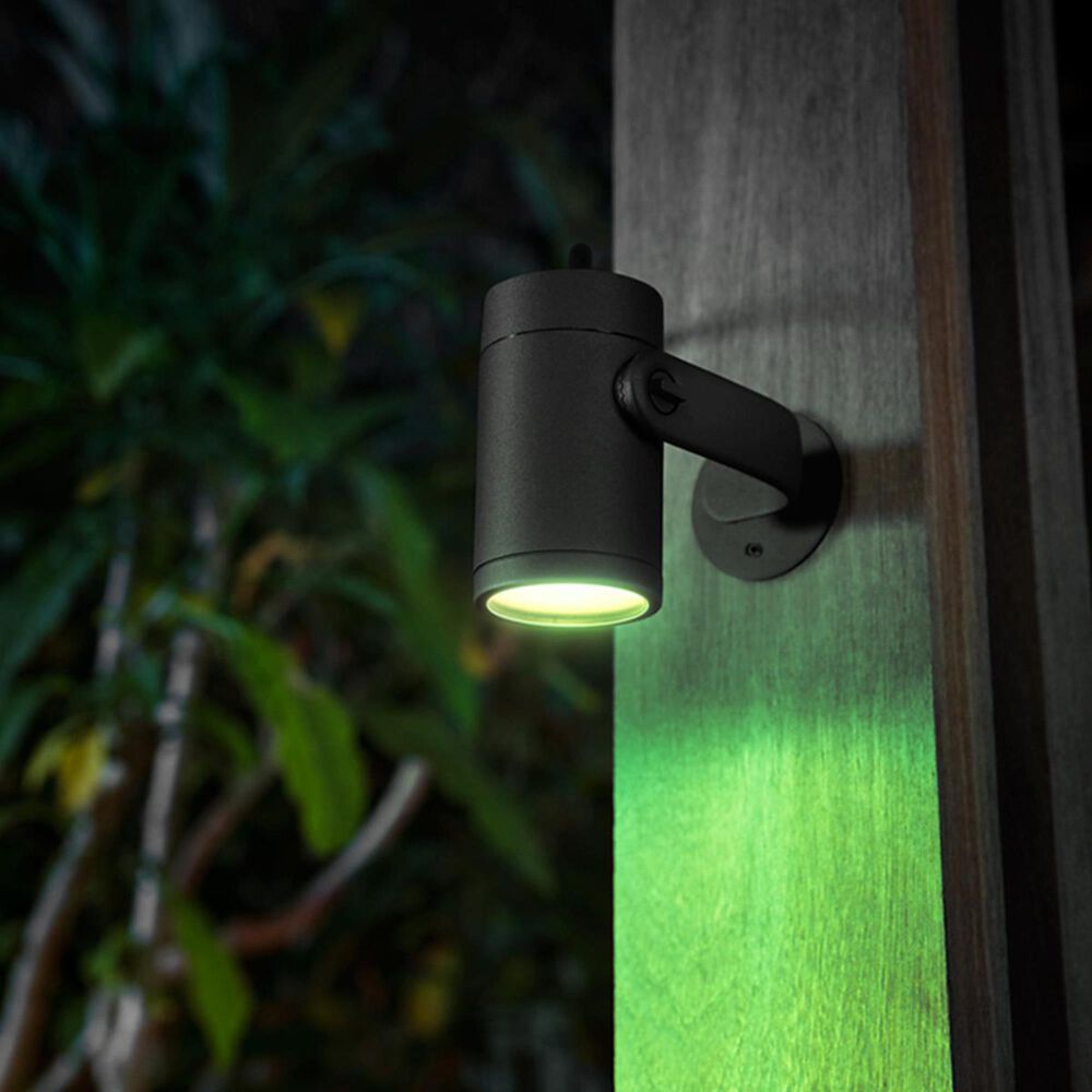 Philips Hue Lily Spotlight Extension Kit in Black, , large