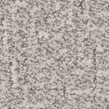 Anderson Tuftex Knickknack Carpet in Gray Owl, , large