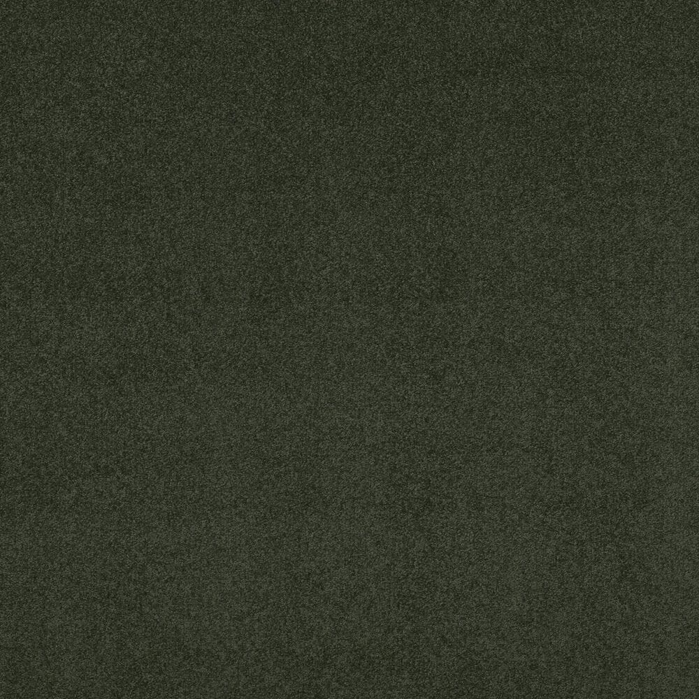 Shaw Luxuriant Carpet in Hidden Valley, , large