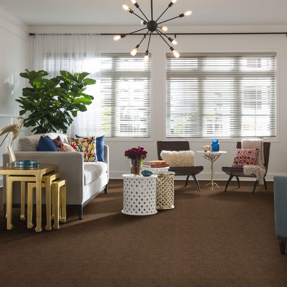 Anderson Tuftex Luna Carpet in Desert Beach, , large