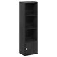 HOMLUX 4-Tier Shelf Bookcase with Door Storage Cabinet in Blackwood, , large
