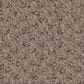 Shaw Austin Park Carpet in Pure Earth, , large