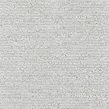 Dixie Home Quietly Carpet in Cozy, , large