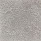 Mohawk Homefront III 2R33 Carpet in Silver Spoon, , large