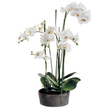 Allstate Floral and Craft Inc 37" Phalaenopsis Plant in Cream, , large
