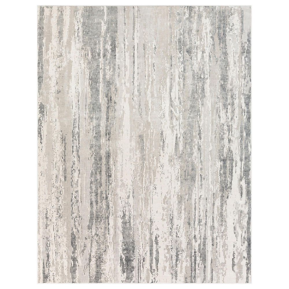 Surya Aisha 10" x 14" Gray, Charcoal, Light Gray and Off-White Area Rug, , large