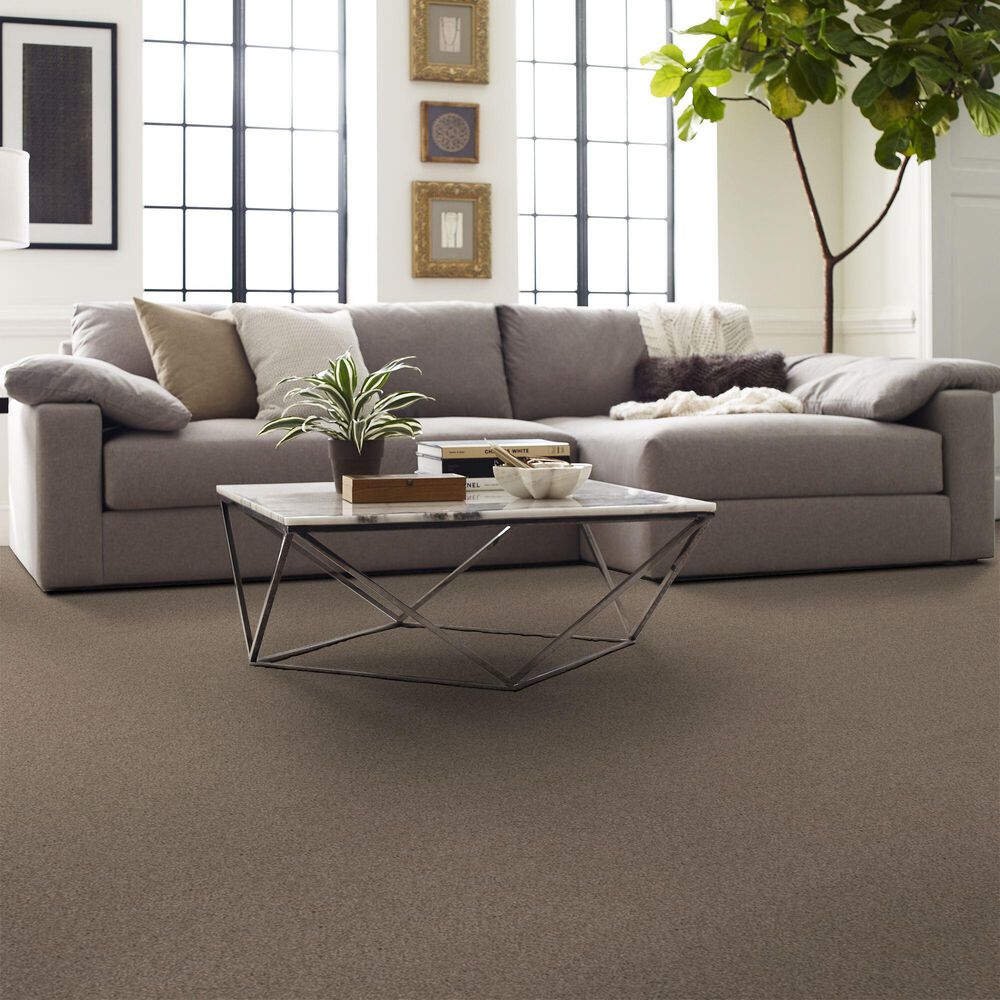 Shaw Live on Comfort Carpet in Hillcrest Tan, , large