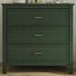 New Haus Charlie 3-Drawer Dresser in Forest Green, , large
