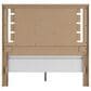 Ashley Brozmont Queen Panel Bed in Natural Brown, , large