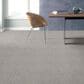 Shaw Find Your Comfort TA I Carpet in True Reality, , large
