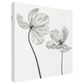 Timberlake Lotte Gronkjar "Same Tulip : Front- And Back View" 24" x 24" Canvas Art, , large