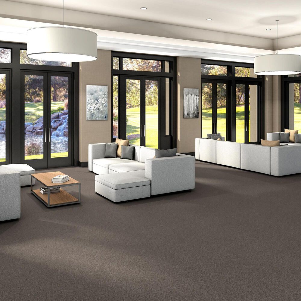 Shaw Trusplendor Carpet in Cobble Drive, , large