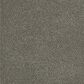 Dream Weaver PS260 Carpet in Havana, , large
