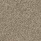Phenix Palermo Carpet in Old Town, , large