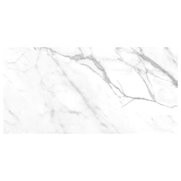 Dal-Tile Costar Calacatta Empire 12" x 24" Porcelain Tile, , large