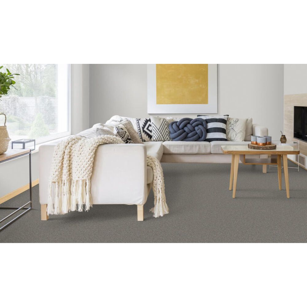 Dixie Home Devotion Carpet in Silhouette, , large