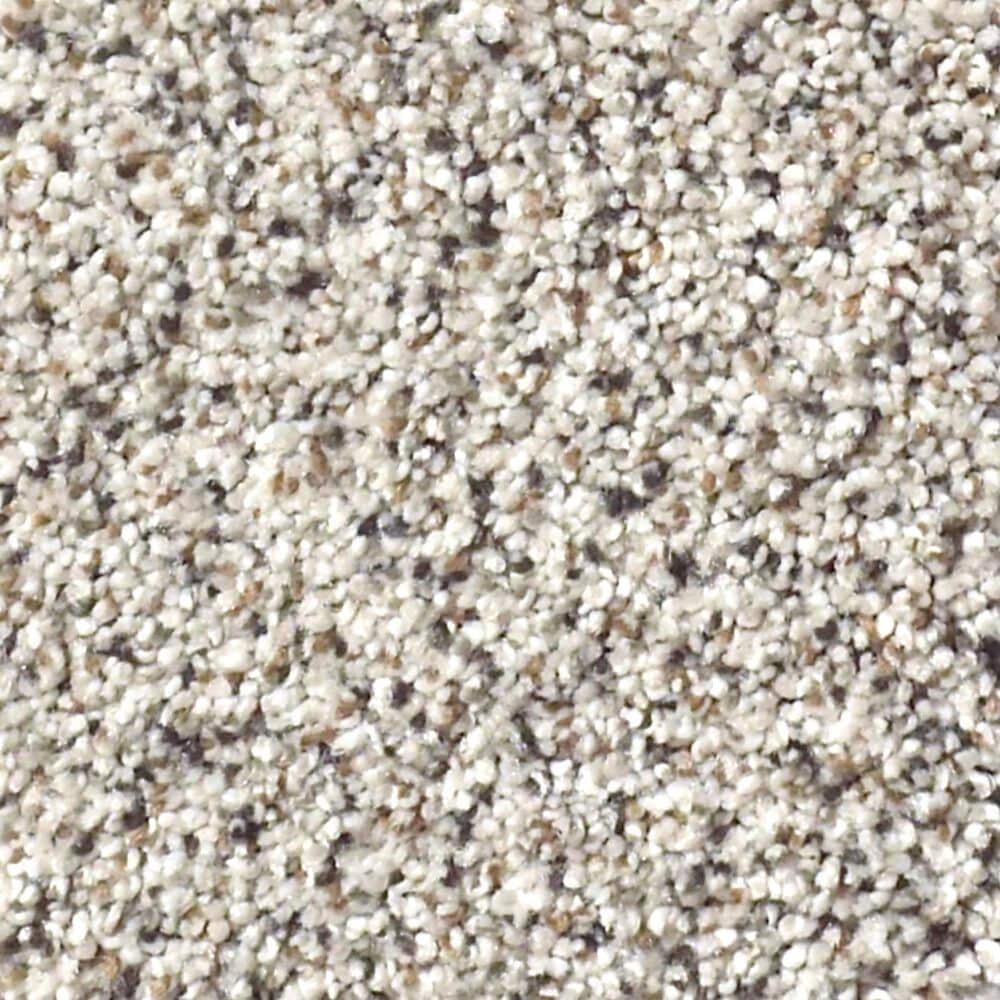 Shaw Foundations Take The Floor Accent II Carpet in Italiano, , large