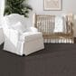 Dixie Home Tributary Carpet in Gateway, , large