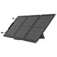 EcoFlow 60W Portable Solar Panel in Black, , large