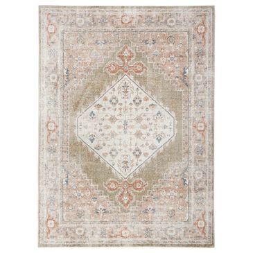 Nourison Astra Machine Washable 9" x 12" Sage and Multicolor Area Rug, , large