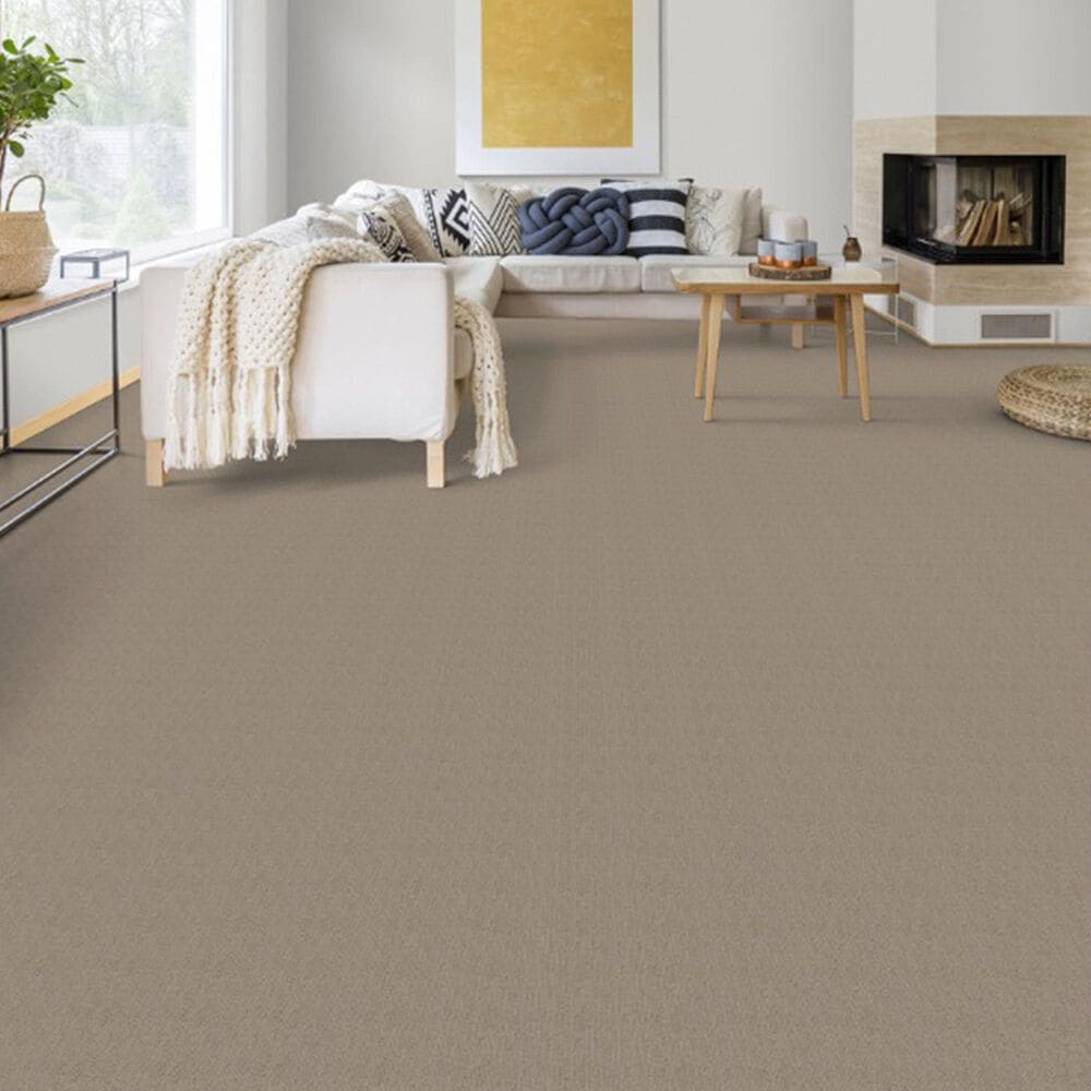 Dixie Home Worthington Carpet in Intensity, , large