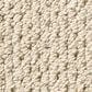 Anderson Tuftex Mera Carpet in Fleece, , large