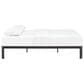Modway Corinne Queen Platform Bed Frame in Brown, , large