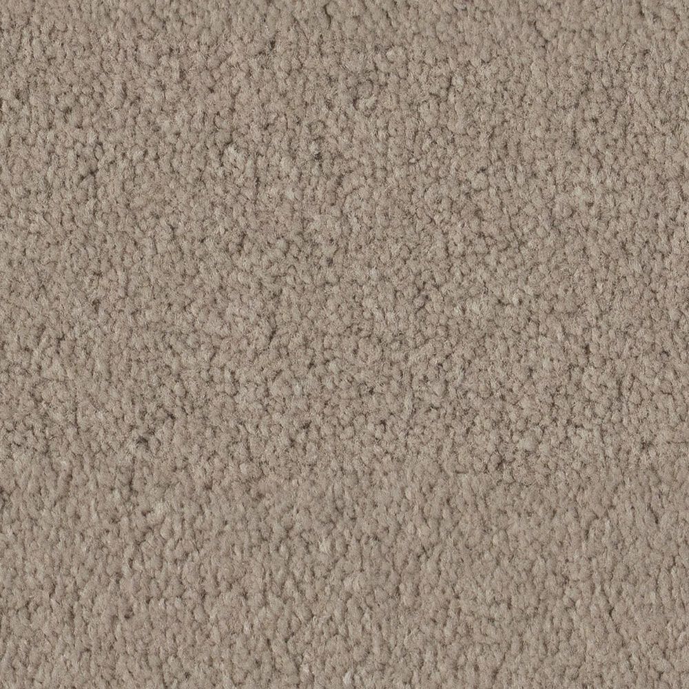 Anderson Tuftex Finery Carpet in Dusty Trail, , large