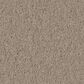 Anderson Tuftex Finery Carpet in Dusty Trail, , large