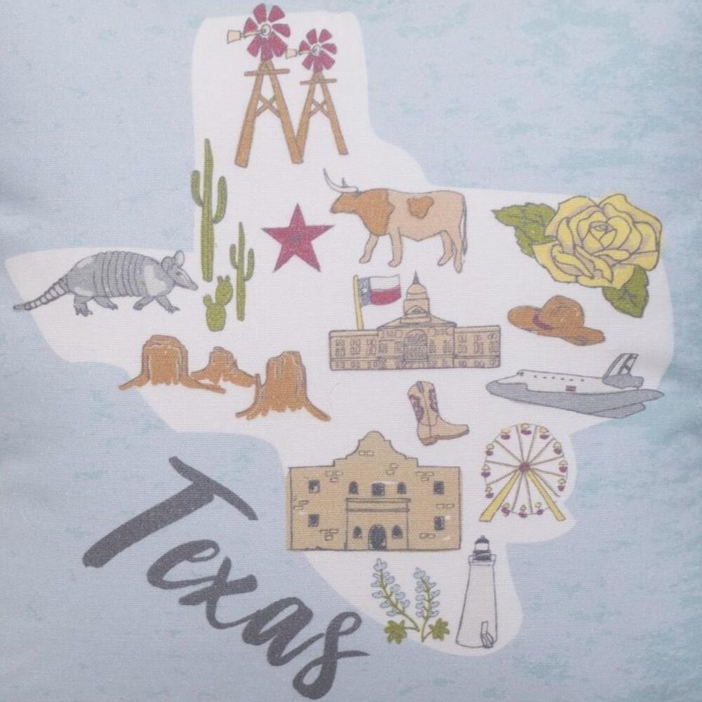 The Royal Standard State 16&quot; x 16&quot; Lone Star Throw Pillow in Misty Blue and Multicolor, , large